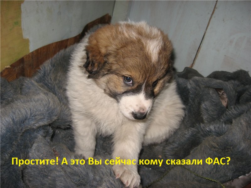 5d82524fb7ab.jpg