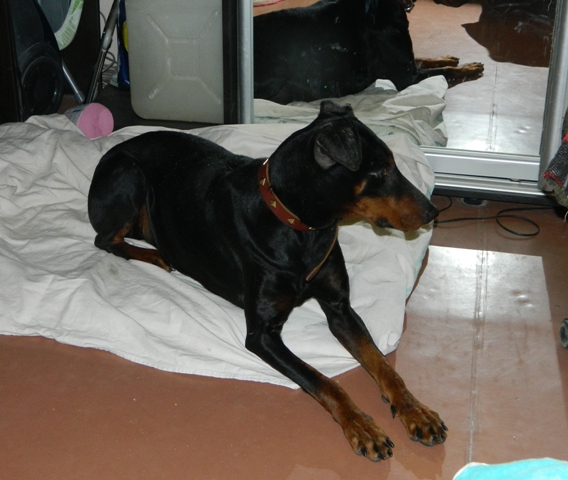 DSCN1114.jpg