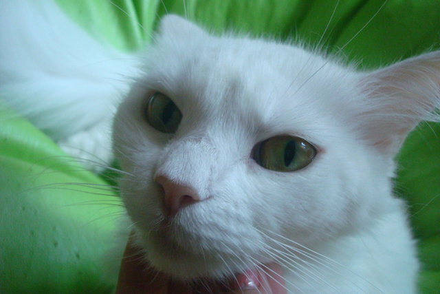 DSC03548.jpg