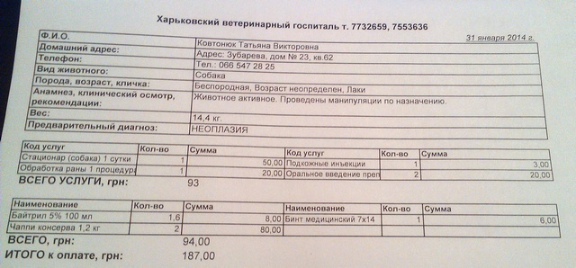 31.01.14.jpg