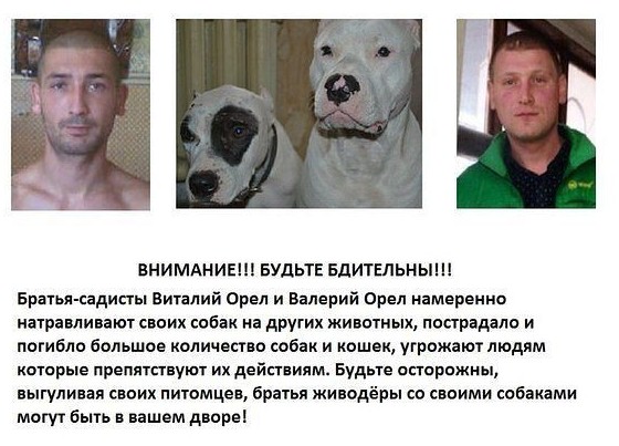 цуц.jpg