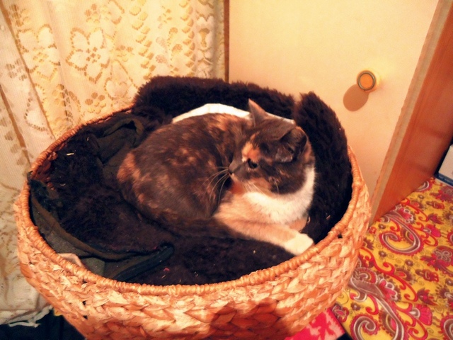 DSC00840.JPG