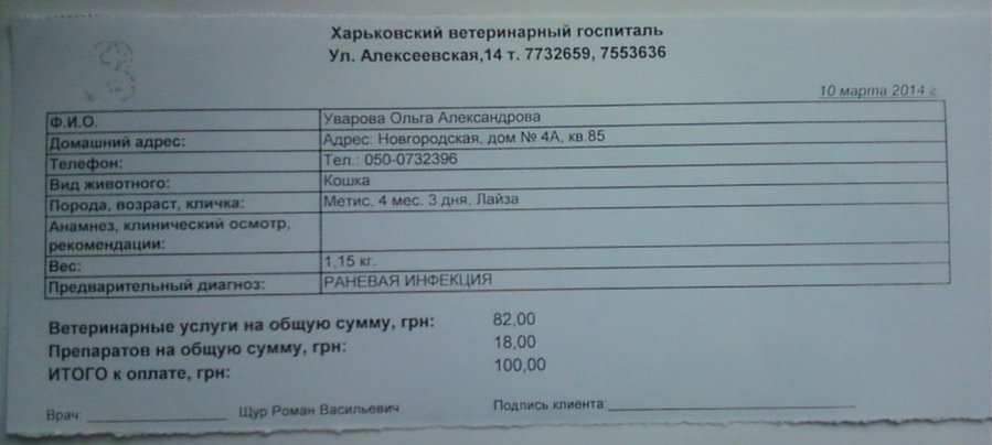 10.04.2014.jpg