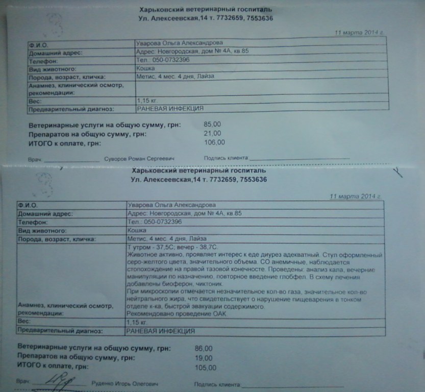 11.04.2014.jpg