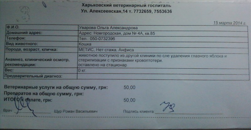 15.03.2014.jpg