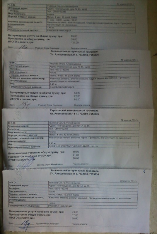 20.03.2014_1.jpg