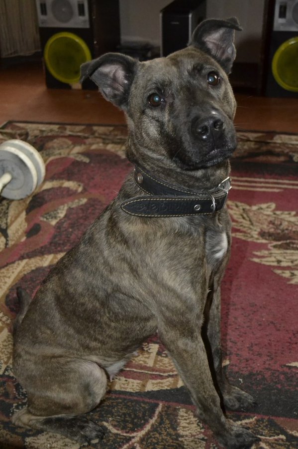 CqrpkoeXSa8.jpg (137.54 КБ) Просмотров: 2336 CqrpkoeXSa8.jpg