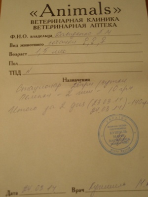 P3248167.JPG