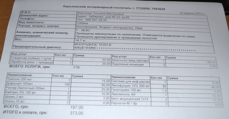 21.03.14 №2.JPG