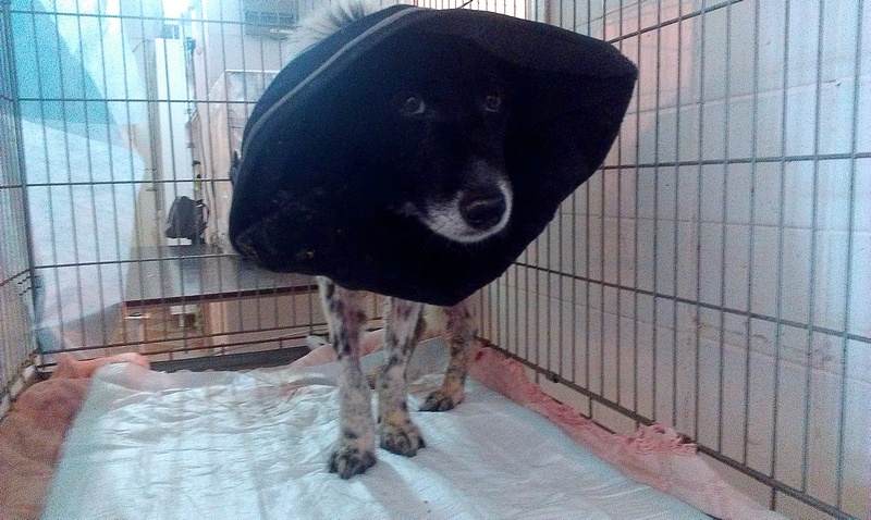 IMAG0593.jpg