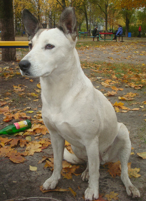 DSC04474.jpg