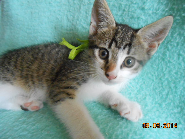 DSCN0613.jpg