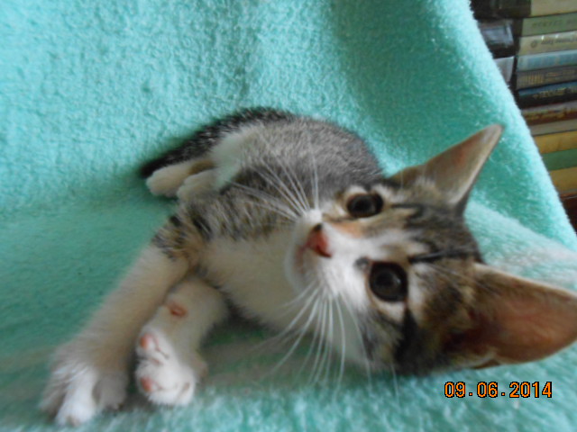DSCN0637.jpg
