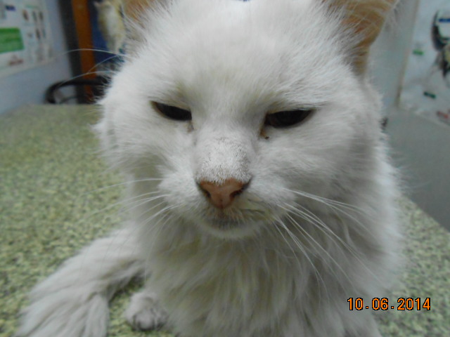 DSCN0709.jpg