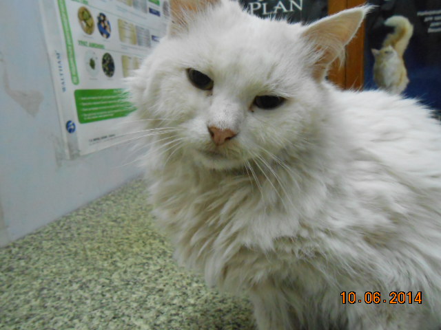 DSCN0705.jpg