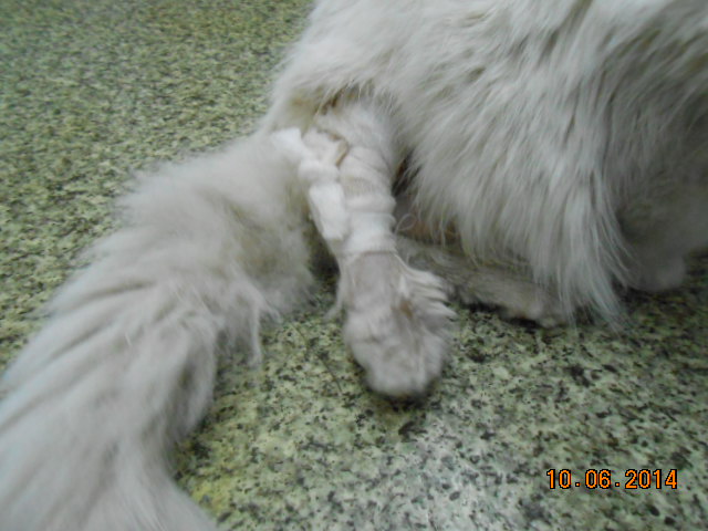 DSCN0707.jpg