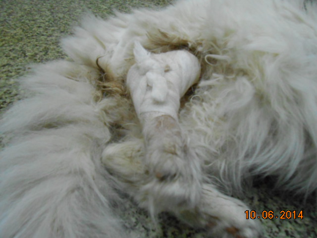 DSCN0711.jpg