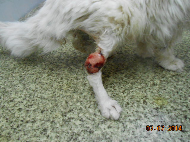 DSCN0754.jpg