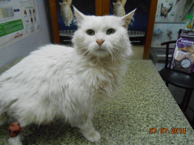 DSCN0757.jpg