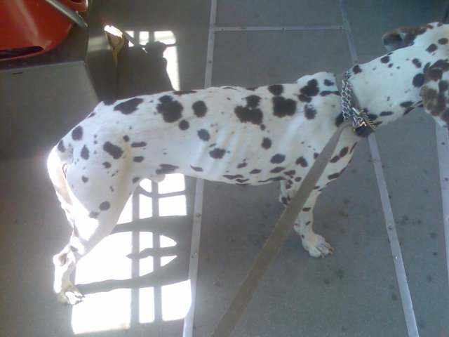 фотопеска.jpg (164.4 КБ) Просмотров: 1735 фотопеска.jpg