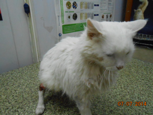 DSCN0760.jpg