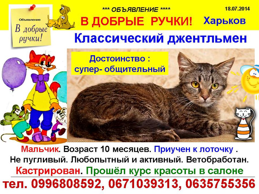през_КЛАССИКА.jpg