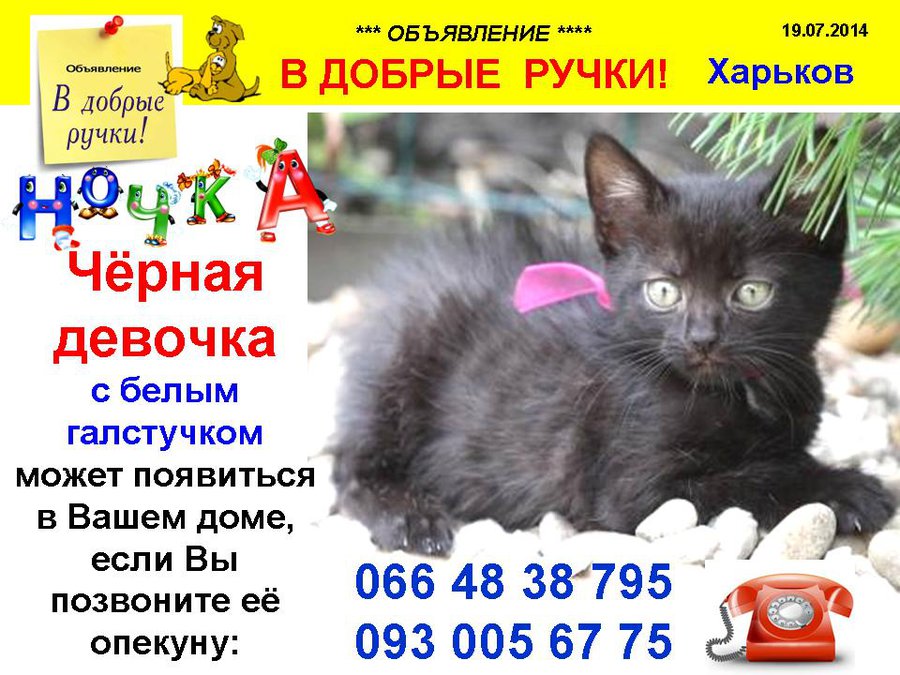 през_ЧЕР.jpg (116.16 КБ) Просмотров: 9993 през_ЧЕР.jpg