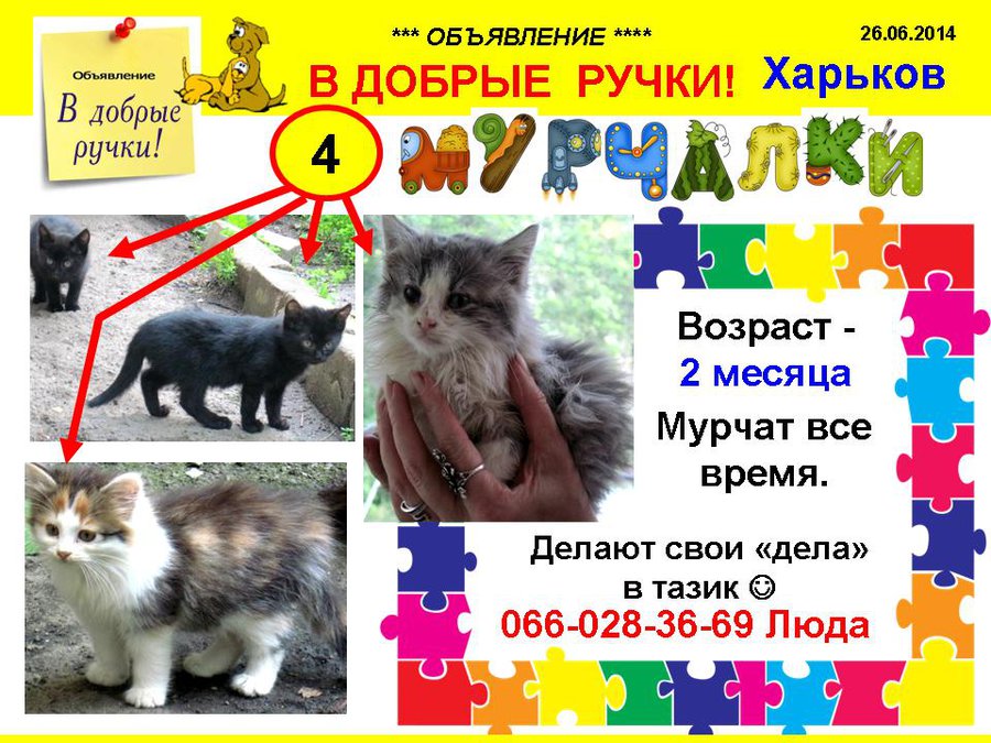 през_МУРЧАЛКИ.jpg