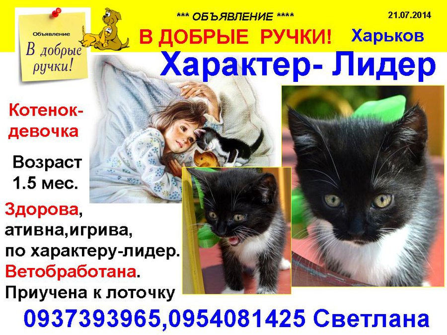 през_ЛИДЕР.jpg