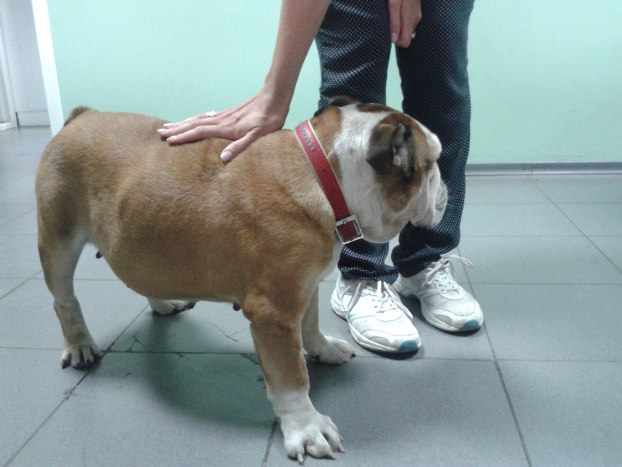 20140822_125605.jpg
