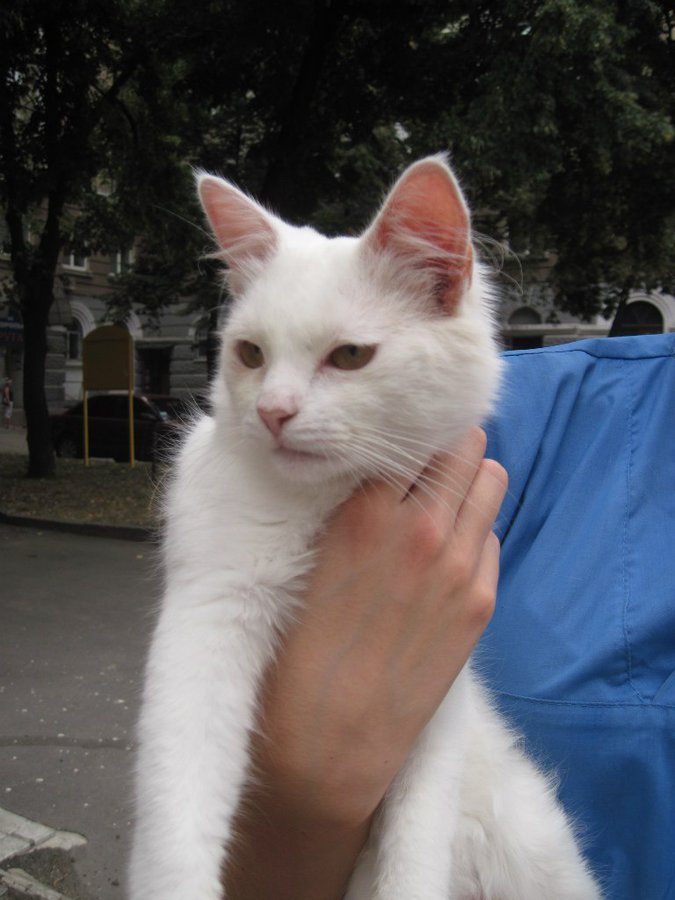 LaJjfellVl4.jpg (106.32 КБ) Просмотров: 1907 LaJjfellVl4.jpg