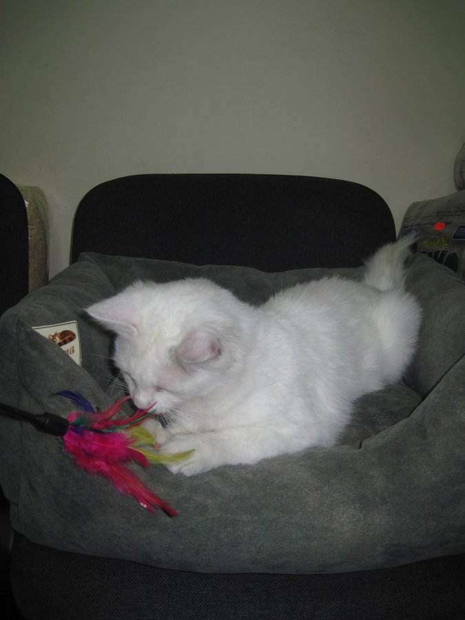 dYZDgM_Ssl8.jpg (87.05 КБ) Просмотров: 1907 dYZDgM_Ssl8.jpg