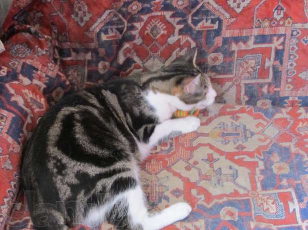 Мирочка 3.jpg