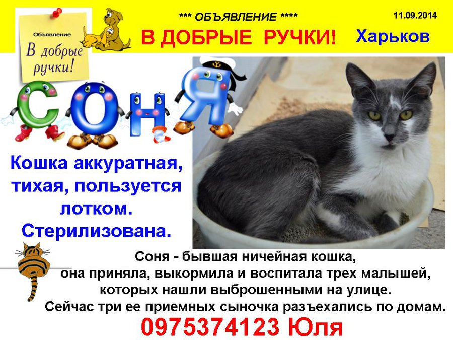 през_СОНЯ_2.jpg