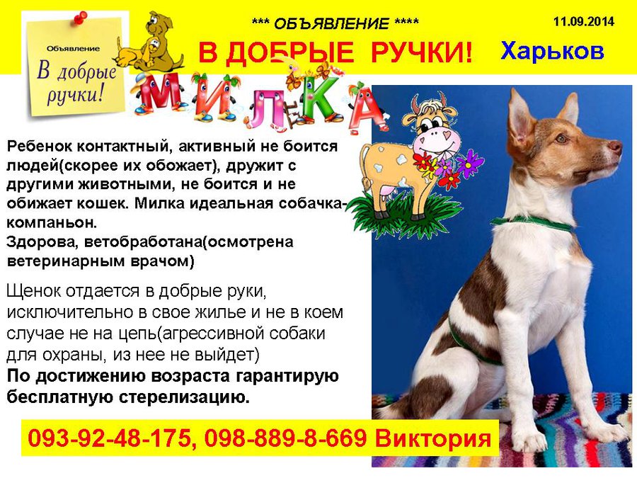 през_МИЛКА.jpg