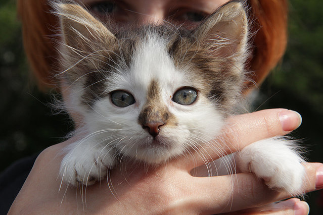 IMG_8569.jpg (313.99 КБ) Просмотров: 3672 IMG_8569.jpg