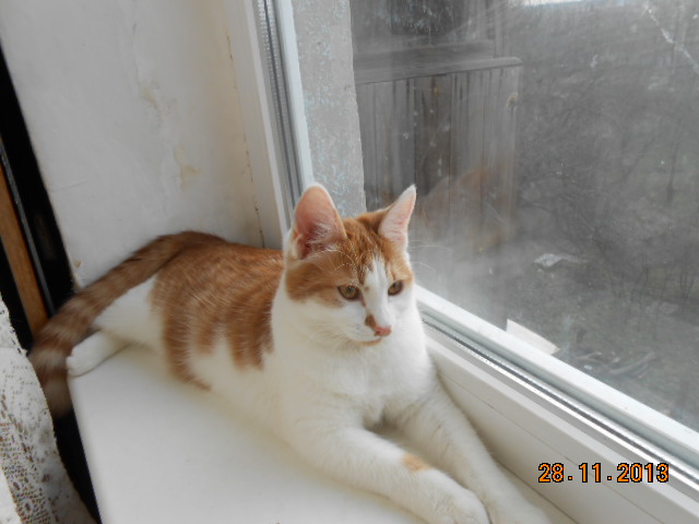 DSCN0394.jpg