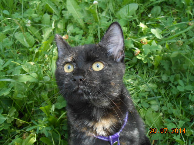 DSCN0879.jpg