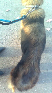 Foto1786_181x320.jpg