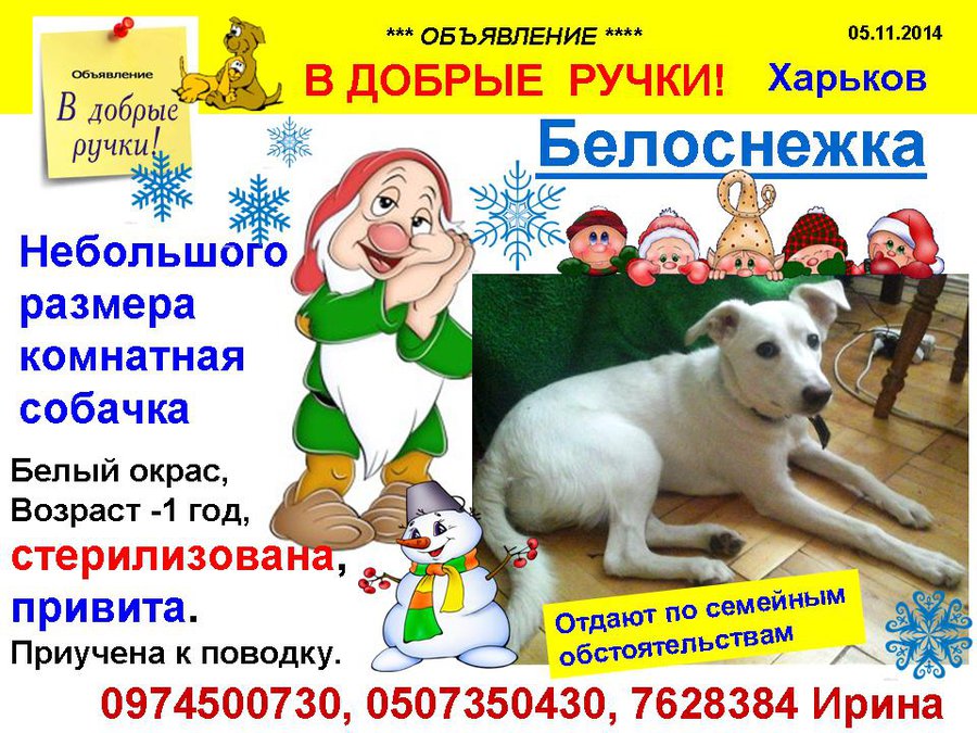 през_БЕЛОСНЕЖКА.jpg