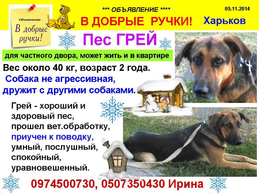 през_ГРЕЙ_2014.jpg