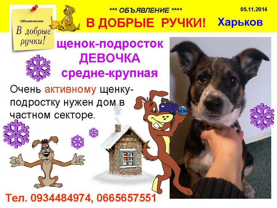 през_ДЕВОЧКА.jpg (124.91 КБ) Просмотров: 3970 през_ДЕВОЧКА.jpg