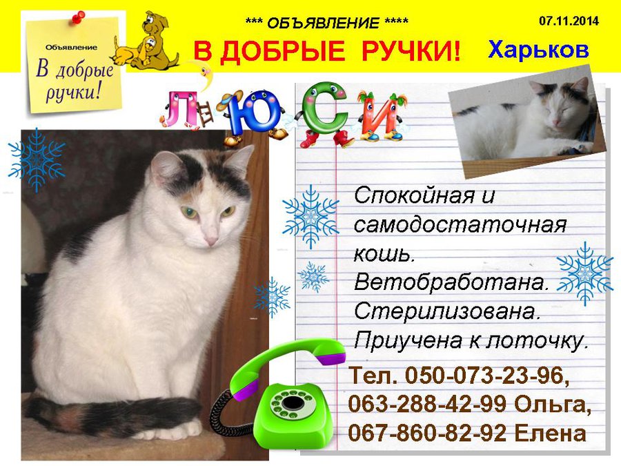 през_ЛЮСИ2.jpg