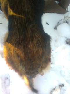 Foto1844_240x320.jpg