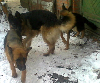 Foto1838_320x264.jpg