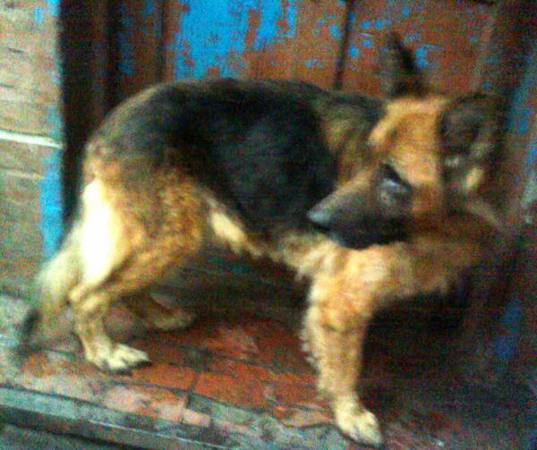 picture003.jpeg