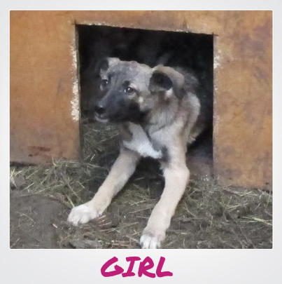 GIRL1.jpg