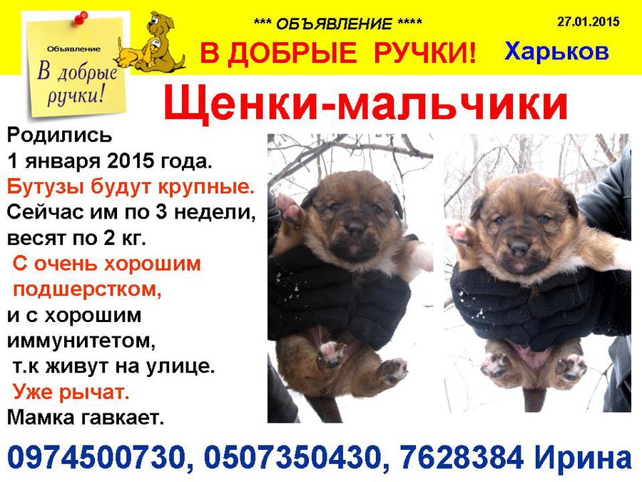 мальчики 2 ира.jpg