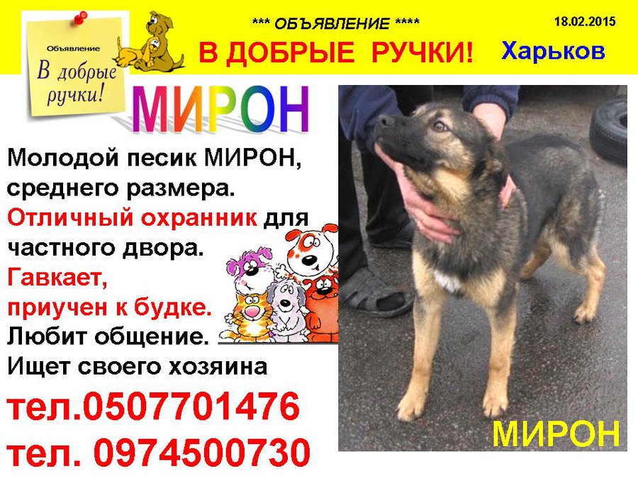МИРОН.jpg