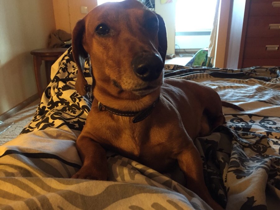 9999999.jpg (308.36 КБ) Просмотров: 1955 9999999.jpg